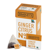 Bradley's Pyramids Fairtrade Ginger Citrus No.19 25x2g